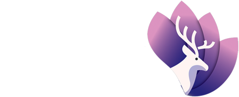 وب‌سایت لاوان کرانه